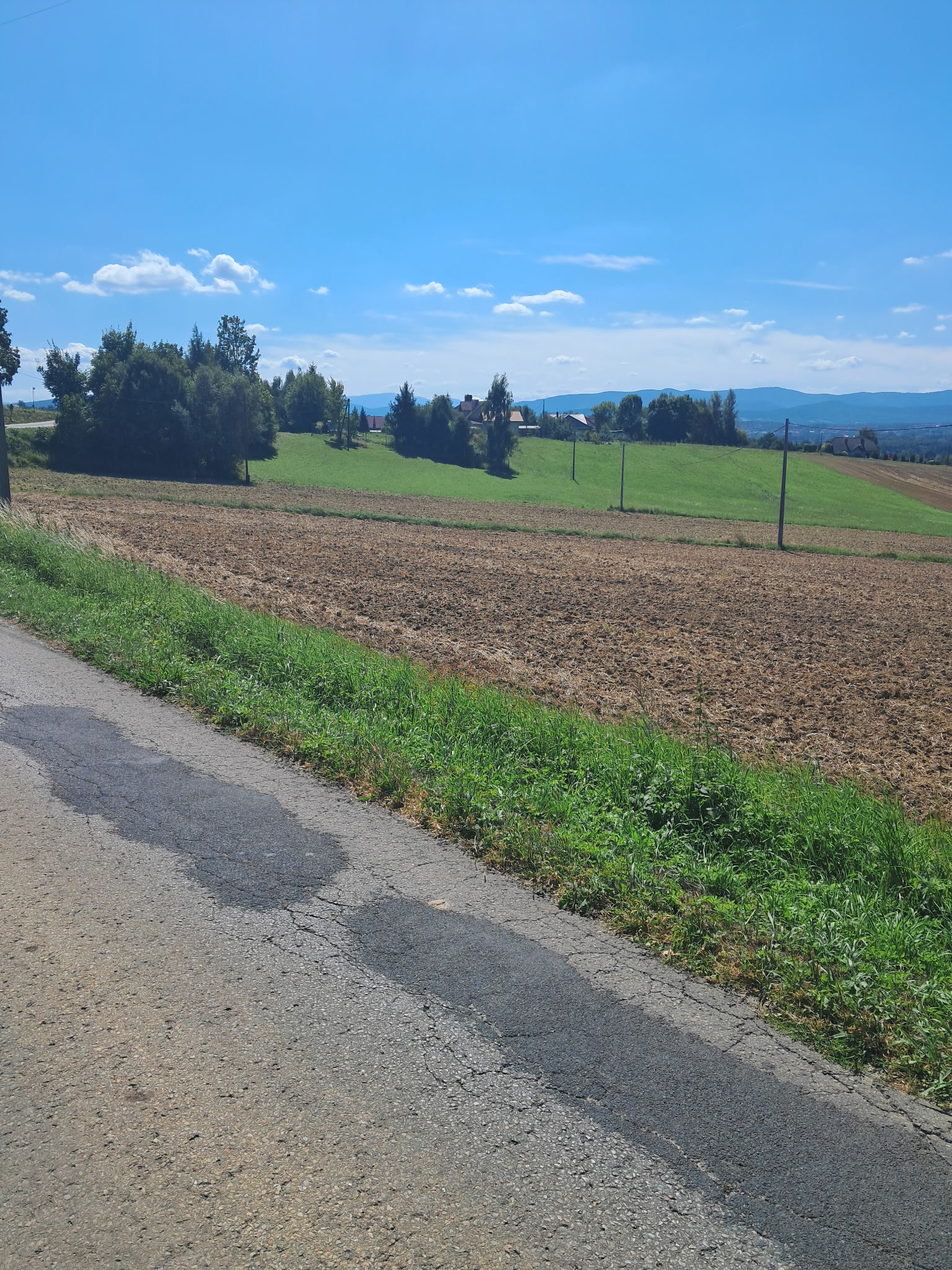 Działka, 7 968 m², Tomice