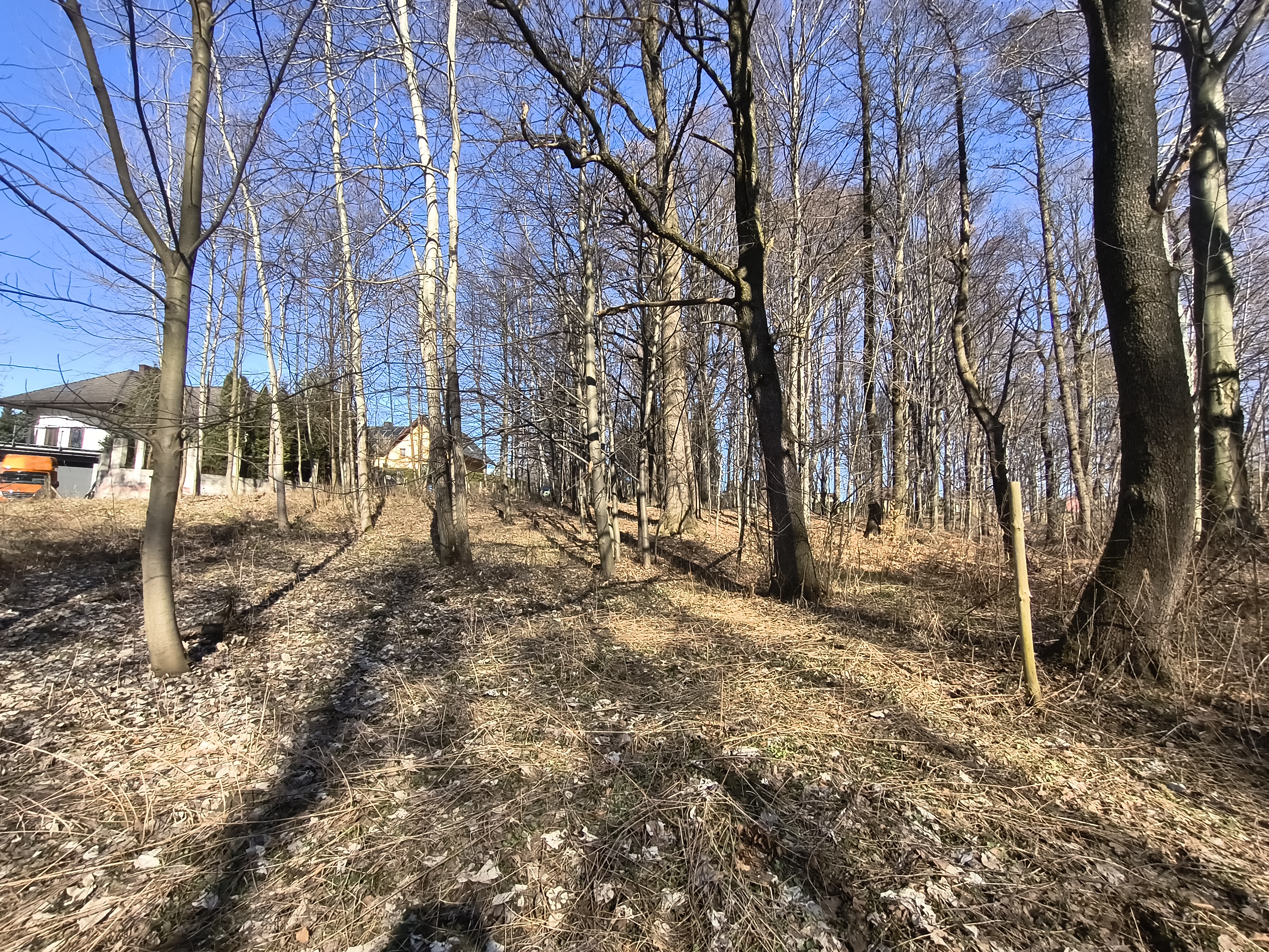 👉 3300 m² ciszy i natury | Działka z lasem i strumykiem | Hałcnów Bielsko-Biała